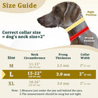 Mayerzon Prong Collar for Large Medium Dogs with Metal Buckle | No Pull Pinch Collar with Hidden Covered Walking Training for Pitbull German Shepherd Doberman Patented
