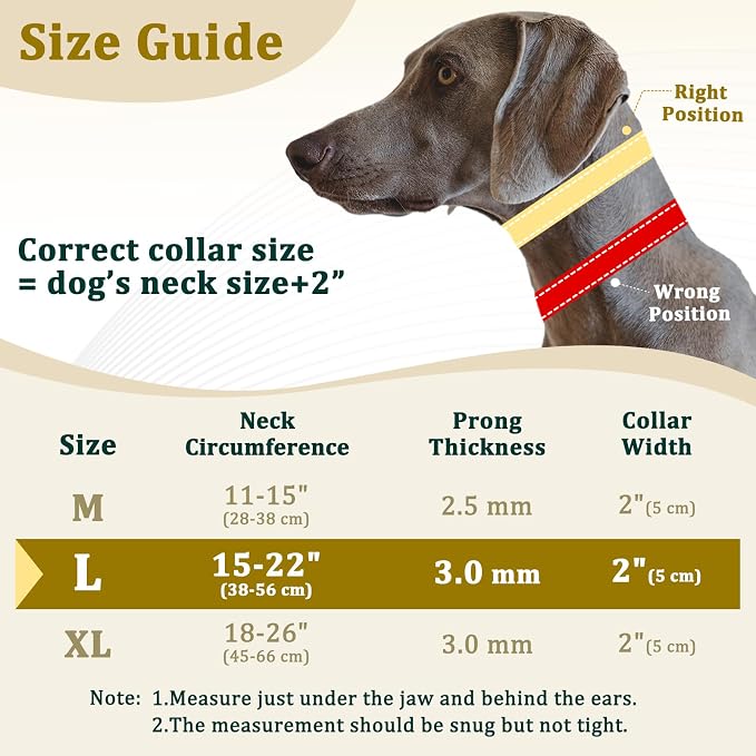 Mayerzon Prong Collar for Large Medium Dogs with Metal Buckle | No Pull Pinch Collar with Hidden Covered Walking Training for Pitbull German Shepherd Doberman Patented