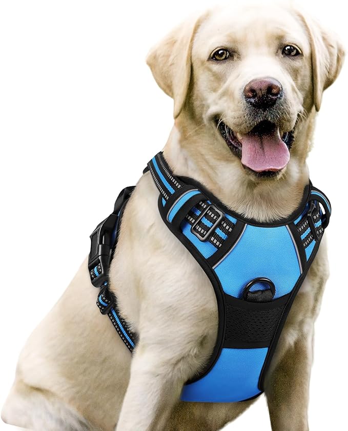 rabbitgoo Dog Harness, No Pull for Large Dogs with 2 Leash Clips, Pet Vest | No Choke with Handle, Adjustable Soft Padded, Reflective, Easy Control for Walking, Blue, Large