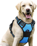 rabbitgoo Dog Harness, No Pull for Large Dogs with 2 Leash Clips, Pet Vest | No Choke with Handle, Adjustable Soft Padded, Reflective, Easy Control for Walking, Blue, Large