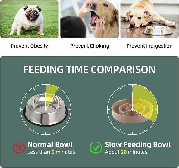 Havniva Elevated Slow Feeder Dog Bowls, Ceramic Dog Bowl Slow Feeder Set | 3.2 Cups Raised Slow Feeding Bowl for Large Breed, 8.2” Dog Water Bowl with Wooden Stand, Puzzle Dog Slow Feeder, Non-slip