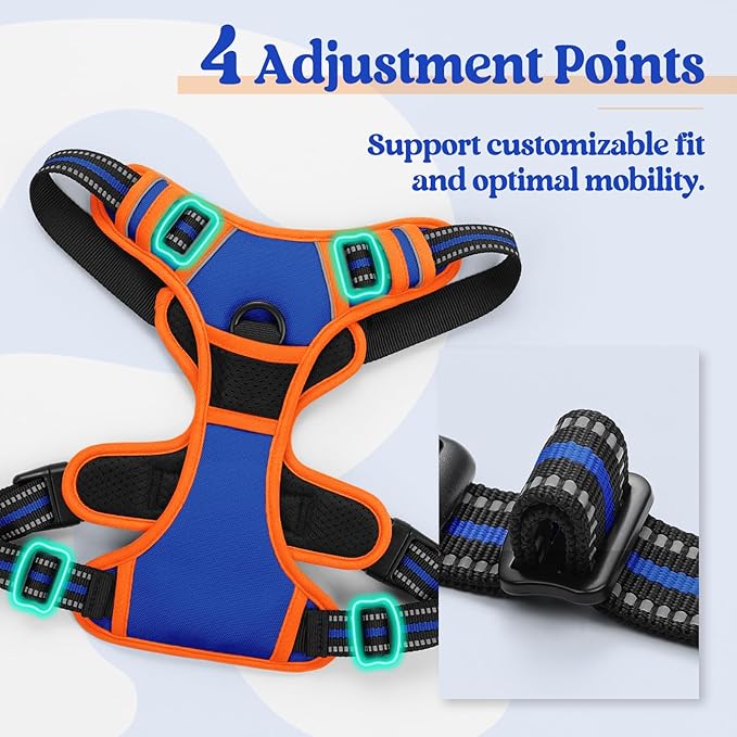 rabbitgoo Dog Harness, No Pull for Large Dogs with 2 Leash Clips, Pet Vest | No Choke with Handle, Adjustable Soft Padded, Reflective, Easy Control for Walking, Blue & Orange, Large