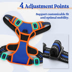 rabbitgoo Dog Harness, No Pull for Small Dogs with 2 Leash Clips, Pet Vest | No Choke with Handle, Adjustable Soft Padded, Reflective, Easy Control for Walking, Blue & Orange, Small