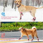 SCENEREAL Anti Slip Dog Socks to Prevent Licking Paws for Hardwood Floors | Double Sides Dog Shoes Boots & Paw Protectors for Hot/Cold Pavement, Dog Grippy Booties for Small Medium Large Senior Dogs