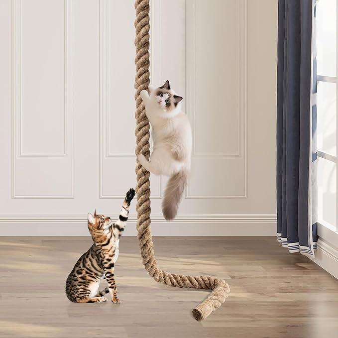2" x 9.84Ft Cat Climbing Rope with Hook for Ceiling & Wall Mounted | Natural Sisal Rope for Cat Scratcher with Feather Toy for Indoor/Outdoor Cats, Durable Cat Tree Replacement Rope