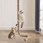 2" x 9.84Ft Cat Climbing Rope with Hook for Ceiling & Wall Mounted | Natural Sisal Rope for Cat Scratcher with Feather Toy for Indoor/Outdoor Cats, Durable Cat Tree Replacement Rope