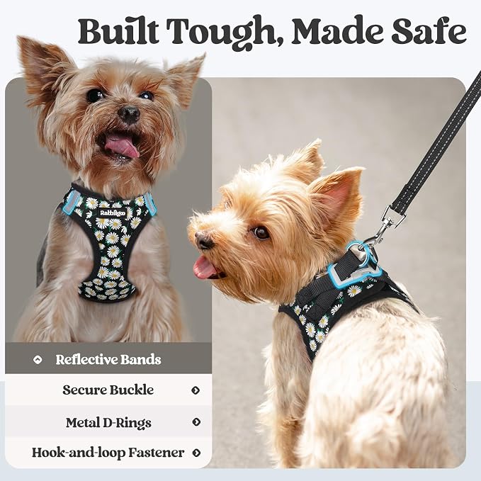 rabbitgoo Dog Harness Medium Sized and Leash Set, Step-in Puppy Pet Vest | Light, Soft, Breathable Air Mesh, Easy on and Remove with Hook & Loop, Secure Reflective for Walking, Midnight Daisy L
