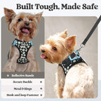 rabbitgoo Dog Harness Small Sized and Leash Set, Step-in Puppy Pet Vest | Light, Soft, Breathable Air Mesh, Easy on and Remove with Hook & Loop, Secure Reflective for Walking, Midnight Daisy XS