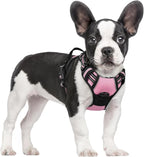 rabbitgoo Dog Harness, No Pull for Small Dogs with 2 Leash Clips, Pet Vest | No Choke with Handle, Adjustable Soft Padded, Reflective, Easy Control for Walking, Pink, Small