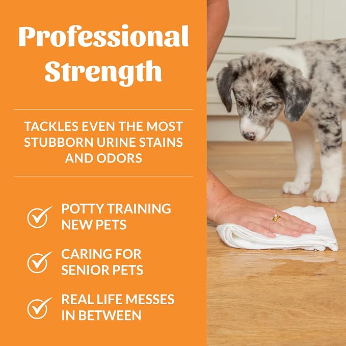 SKOUT'S HONOR Dog Urine Destroyer, 35 oz | Better, Faster, Stronger Pet Urine Odor Eliminator for Carpets, Upholstery and other Indoor Surfaces