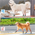 SCENEREAL Anti Slip Dog Socks to Prevent Licking Paws for Hardwood Floors | Double Sides Dog Shoes Boots & Paw Protectors for Hot/Cold Pavement, Dog Grippy Booties for Small Medium Large Senior Dogs