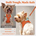rabbitgoo Dog Harness Medium Sized and Leash Set, Step-in Puppy Pet Vest | Light, Soft, Breathable Air Mesh, Easy on and Remove with Hook & Loop, Secure Reflective for Walking, Orange L
