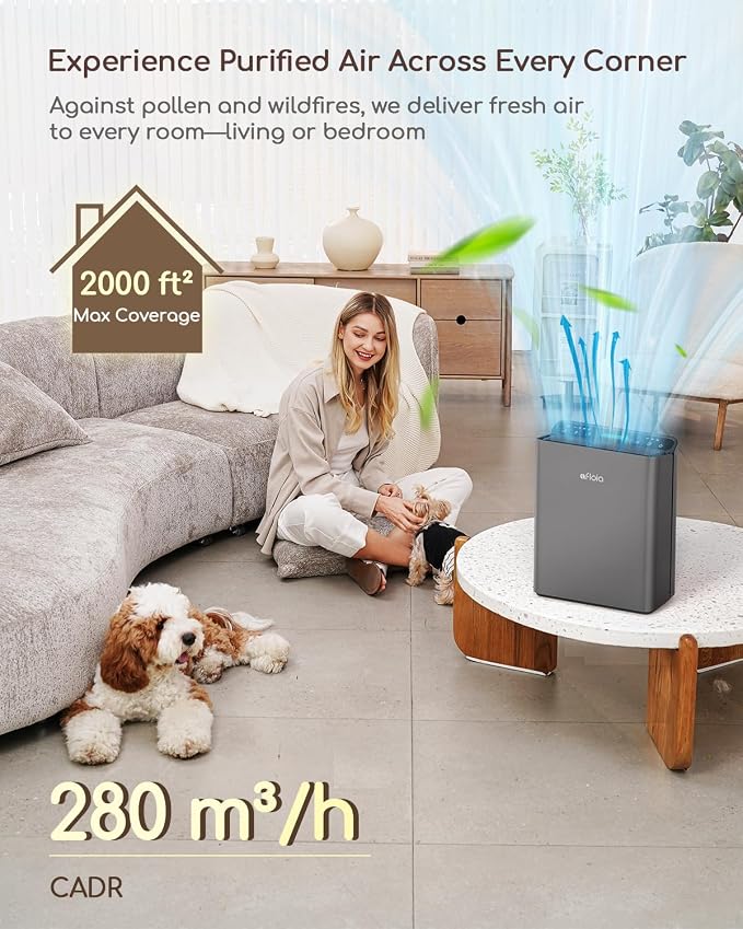 Afloia Air Purifier for Home & Bedroom, 2,000 ft², PM2.5 Monitor | Europa 2.0 Grey features a PM2.5 Air Quality Monitor, Smart Auto Mode, and a washable pre-filter for large homes.