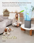 Afloia Air Purifier for Home & Bedroom, 2,000 ft², PM2.5 Monitor | Europa 2.0 Grey features a PM2.5 Air Quality Monitor, Smart Auto Mode, and a washable pre-filter for large homes.