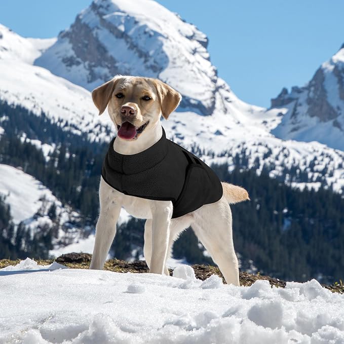 Queenmore Large Dog Sweaters, Soft Fleece Vest Pullover Pet Jacket with Leash Hole, Warm Winter Dog Clothes Cold Weather Doggy Dachshund Sweater for Large Dogs Cats Boy or Girl (Black, L)