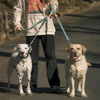 HOWGO Double Dog Leash,Tangle-Free 360 Swivel(Lavender, Pro S-M w.Handle) | Individually Adjustable Length, Double Padded Handles,Aviation Aluminum Hooks,Durable Nylon,No-Tangle Walking,All Breeds