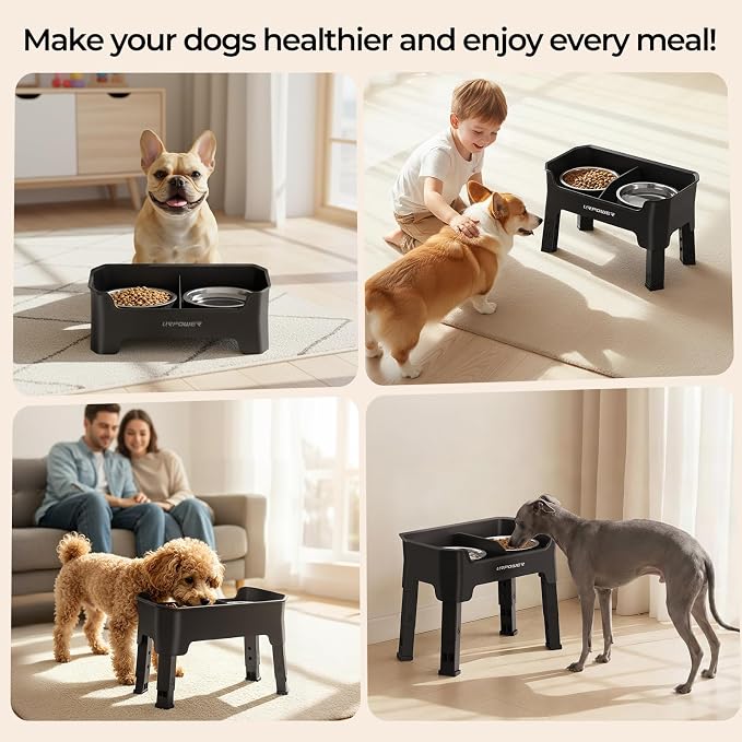 URPOWER Mess Proof Elevated Dog Bowls for Small Dogs with Splash Guard | 4 Height Adjustable Raised Stand with 2 Stainless Steel Food Bowls & Licking Plate for Small, Medium & Large Dogs