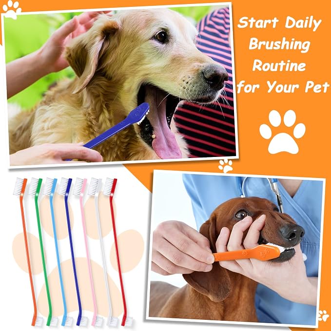 Honeydak Dog Toothbrush Bulk Dual Headed Dental Brushes Dogs Tooth Brushing Kit Long Handle Pet Tooth Brush for Puppy Large Small Cats and Most Pets Teeth Cleaning Dental Supplies(70 Pcs,Colorful)