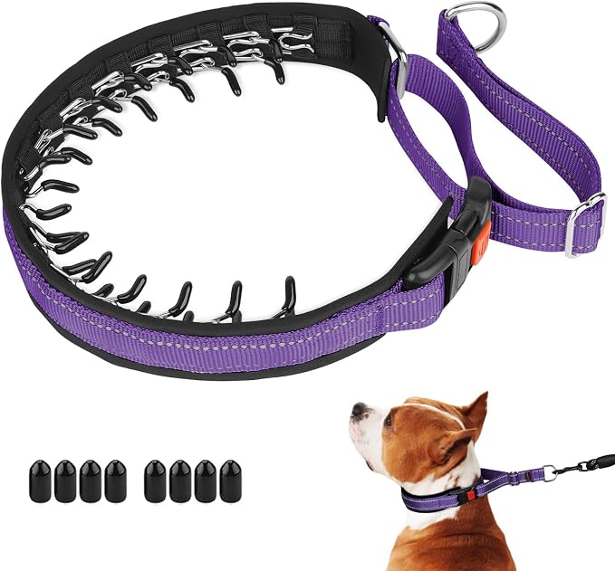 Mayerzon Martingale No Pull Collar for Medium Large Dogs | Purple, L | Patented Anti Pull Dog Collar with Buckle for Walking Training, Reflective Stitching, Neoprene Padding, Adjustable, Sturdy