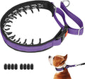 Mayerzon Martingale No Pull Collar for Medium Large Dogs | Purple, L | Patented Anti Pull Dog Collar with Buckle for Walking Training, Reflective Stitching, Neoprene Padding, Adjustable, Sturdy