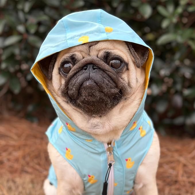 Lucy & Co. Lucky Ducky - Reversible Raincoat for Dogs & Pets - Dog Raincoat - Fashionable and Comfy Water Proof Adjustable Poncho for Canines - X-Large - Yellow Blue Rubber Duck