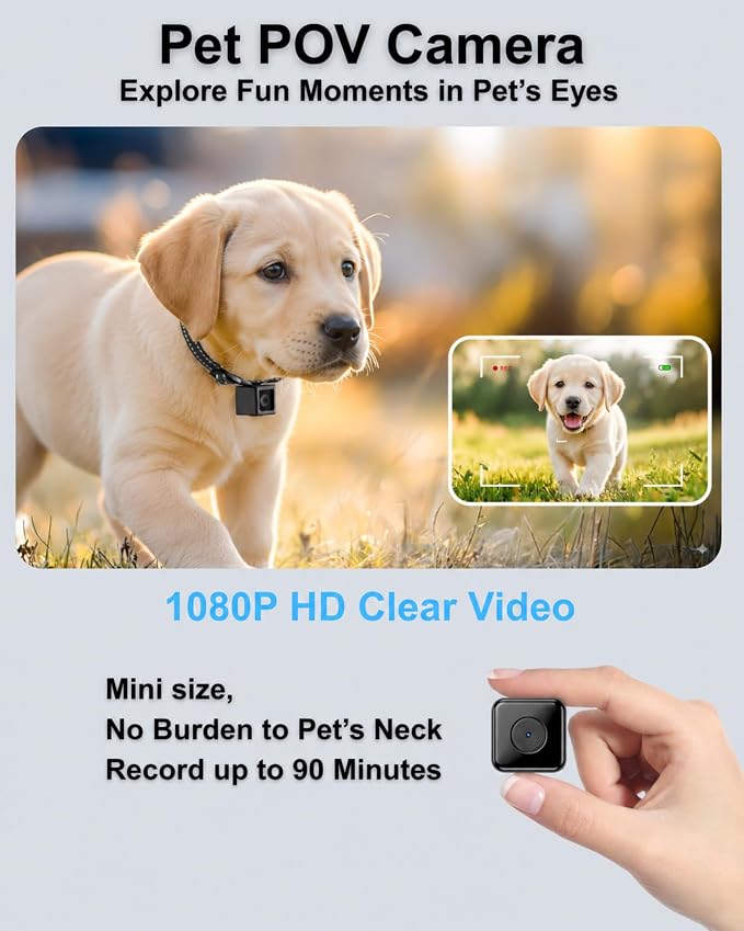 Dog Collar Camera 1080P HD Video Recording Pet POV Cam | M-Size Collar for Medium Dogs & Big Cats up to 44 lbs, No WiFi No App Action Camera, Night Vision (Micro-SD Card Required)