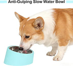 15° Tilted Anti‑Gulping Water Bowl for Medium Dogs (10-15kg, Blue, 350ml) – Non-Spill Stainless Steel Slow Water Feeder Dish, Vet Recommended Raised Pet Waterer