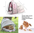 Lollimeow Cat Carrier Backpack, Expandable Bubble Pet Carrier for Cats and Small Dogs, Airline Approved Travel Backpack for Hiking, Walking & Outdoor Adventures - Supports up to 14 lbs