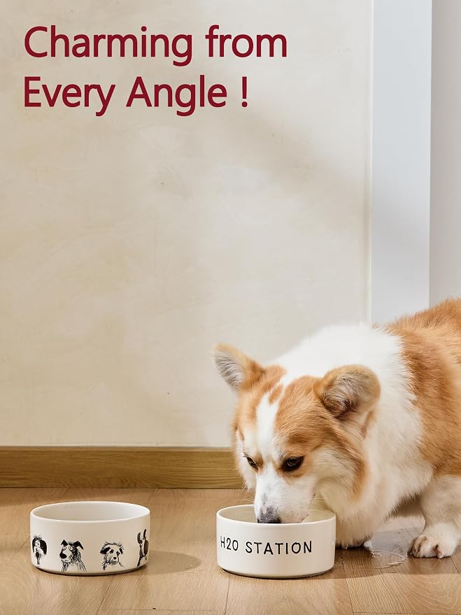 Ceramic Cute Dog Bowl Set of 2, 3.3 Cups | Heavy Non-Slip Stoneware Food and Water Bowls for Small Medium Dogs, Microwave & Dishwasher Safe, Pet Feeding Set