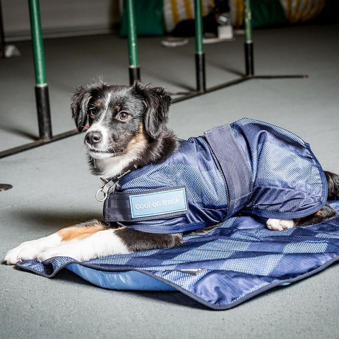 Back on Track Cool on Track Cooling Dog Coat (XS, 25cm / 9-10.5")