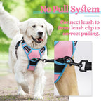 rabbitgoo Dog Harness, No Pull for Small Dogs with 2 Leash Clips, Pet Vest | No Choke with Handle, Adjustable Soft Padded, Reflective, Easy Control for Walking, Pink & Blue, Small