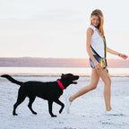 Dog Poop Bag Holder with Dispenser & Storage Pouch - Includes Adjustable Reflective Dog Leash (6FT Bungee, Padded Handles) - Durable Leash for Walking, Training & Travel (Aqua)