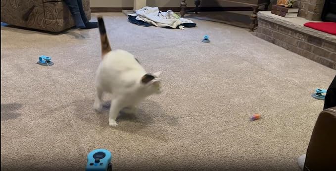 Interactive Cat Toys for Indoor Cats Chasing Running Hunt Instinct Exercise | Auto Smart DIY Multi-track Cat Feather Toy Treadmill with Mouse Sound，Cat Lure Course for Playful Cat Kitten Play(Cyan-blue)