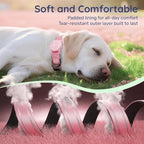 Airtag Dog Collar, Reflective Ultra-Durable Nylon Padded with QR Code Buckle & IP68 Waterproof Air Tag Holder Compatible for Apple AirTag, Comfortable for Small Medium Large Dogs(Pink,S)