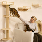 FUKUMARU Cat Wall Shelves, 4 in 1 Set, Beige | Stable Wooden Wall-Mounted Furniture Set, Climbing Tree with Hammock, Bed, Perch and Scratching Mat