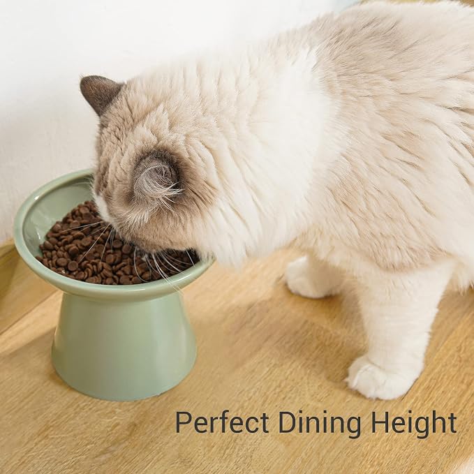 CEEFU 2-Pack Extra Wide Elevated Ceramic 6.2" Shallow Cat Food Bowls | Cat Dish for Whisker Fatigue Relief, 5" Height for Easy Feeding, Durable Raised, Sage Green