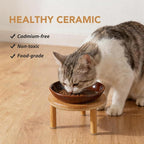 Havniva Elevated Cat Bowls, Ceramic Cat Bowl with Bamboo Stand Wide Opening | 5.7” Raised Cat Food Bowls, Whisker Friendly Cat Dish, Anti-Slip Cat Water Bowls, Shallow Cat Bowls, Cat Food & Water Bowl