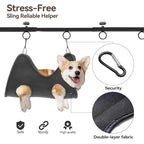Pet Grooming Arm for Table, 42" H, 27-39" W with Hammock & 2 No-Sit Nooses | Adujustable, Heavy-Duty Dog Grooming Station with clamp for Home Use, Nail Trimming & Drying