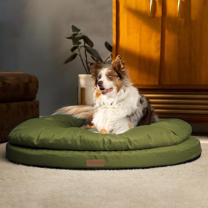 ClevaHome Orthopedic Dog Bed for Large Dogs, 36 inches Dual Layer Water Repellent Round Pet Bed with Washable Cover Nonslip Bottom (Olive Branch)