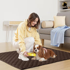 Smiry Waterproof Dog Bed Cover Blanket, Reversible Pet Blanket | Soft Reversible, Washable Leakproof Cats Dogs Couch Cover for Sofa, Couch, Furniture (40x50 Inch)