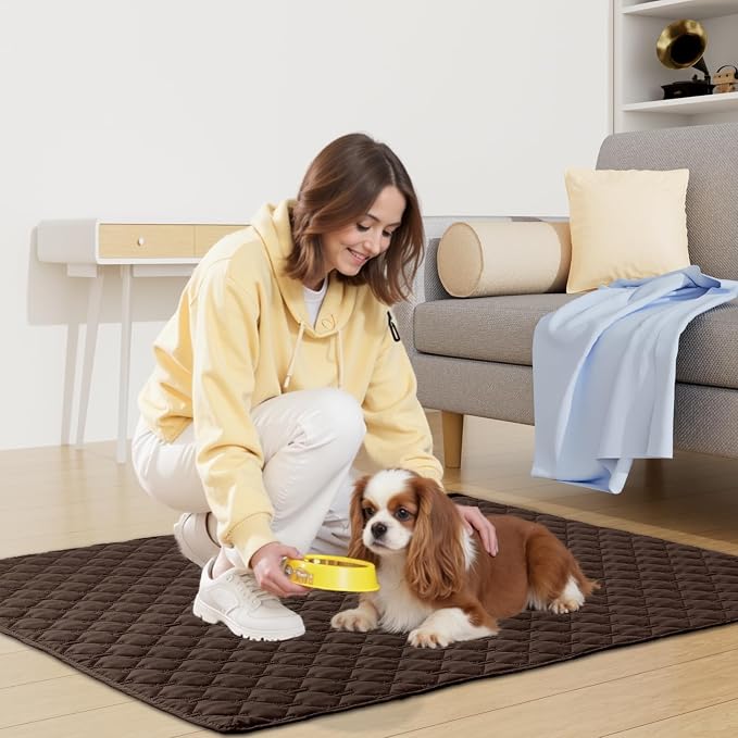 Smiry Waterproof Dog Bed Cover Blanket, Reversible Pet Blanket | Soft Reversible, Washable Leakproof Cats Dogs Couch Cover for Sofa, Couch, Furniture (40x50 Inch)