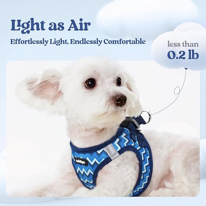 rabbitgoo Dog Harness Small Sized and Leash Set, Step-in Puppy Pet Vest | Light, Soft, Breathable Air Mesh, Easy on and Remove with Hook & Loop, Secure Reflective for Walking, Blue Zigzag XS