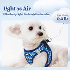 rabbitgoo Dog Harness Small Sized and Leash Set, Step-in Puppy Pet Vest | Light, Soft, Breathable Air Mesh, Easy on and Remove with Hook & Loop, Secure Reflective for Walking, Blue Zigzag XS