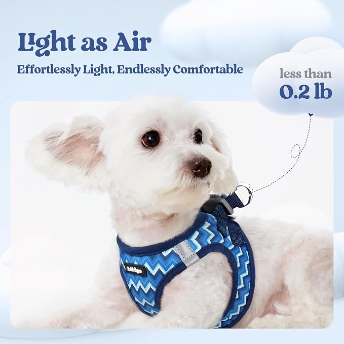 rabbitgoo Dog Harness Small Sized and Leash Set, Step-in Puppy Pet Vest | Light, Soft, Breathable Air Mesh, Easy on and Remove with Hook & Loop, Secure Reflective for Walking, Blue Zigzag M