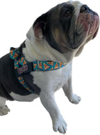 BULLHUG Adjustable Dog Harness– No Pull, No Choke – for English Bulldogs, French Bulldogs, Pugs & Broad-Chested Breeds – Easy, Safe Walks (Pizza, Medium)