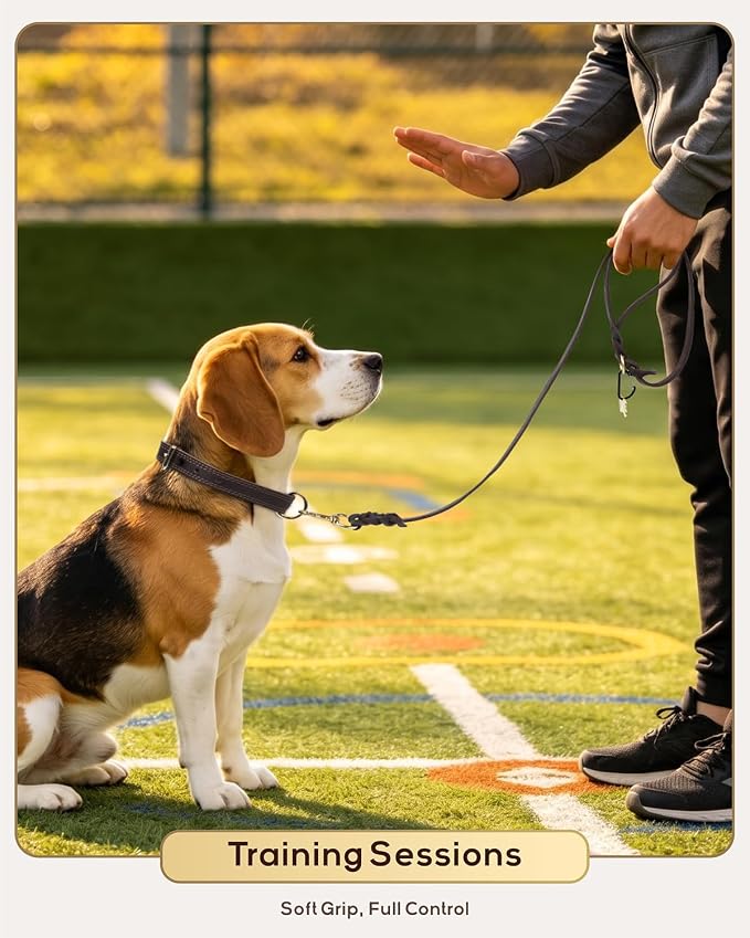 Taglory Leather Dog Leash for Large Medium Dogs, Hand-Braided, 4FT Brown | Strong for Training & Everyday Walks, Soft Grip Full Control, Hands-Free Poop Bag Holder, Rotating Brass Clasp, 3/4 INCH