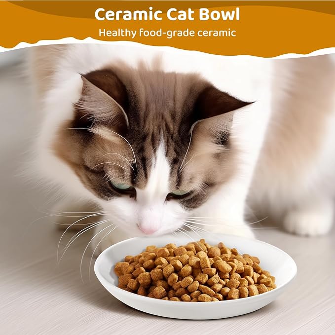 Ceramic Cat Food Plates: Cat Wet Food Bowls/Whisker Fatigue Cat Dishes & Shallow Bowls for Kittens and Small Animals | For wet/dry food; fits kittens, rabbits, hamsters; microwave & dishwasher safe; stable fishbone design