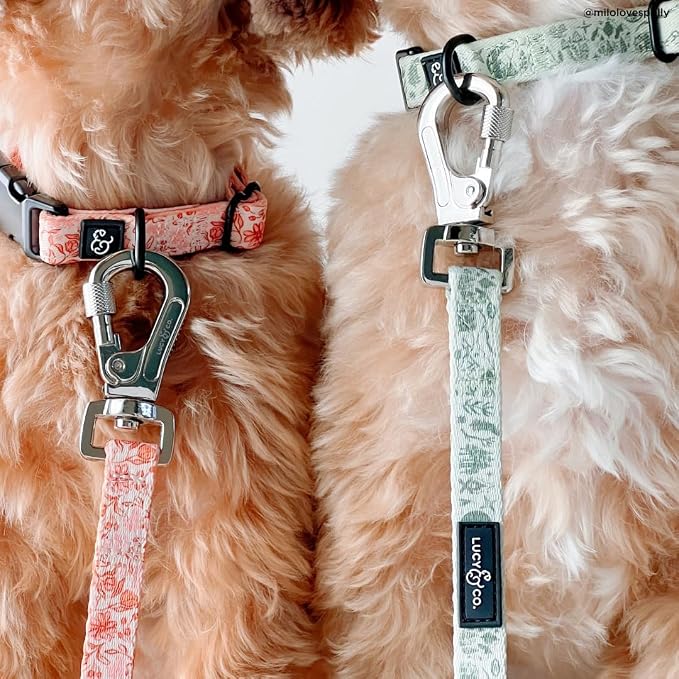 Lucy & Co. 5 Foot Designer Dog Leash for Small, Medium or Big Dogs or Puppies Puppy – Pet Accessories & Supplies- Large-Green Outdoor Plaid