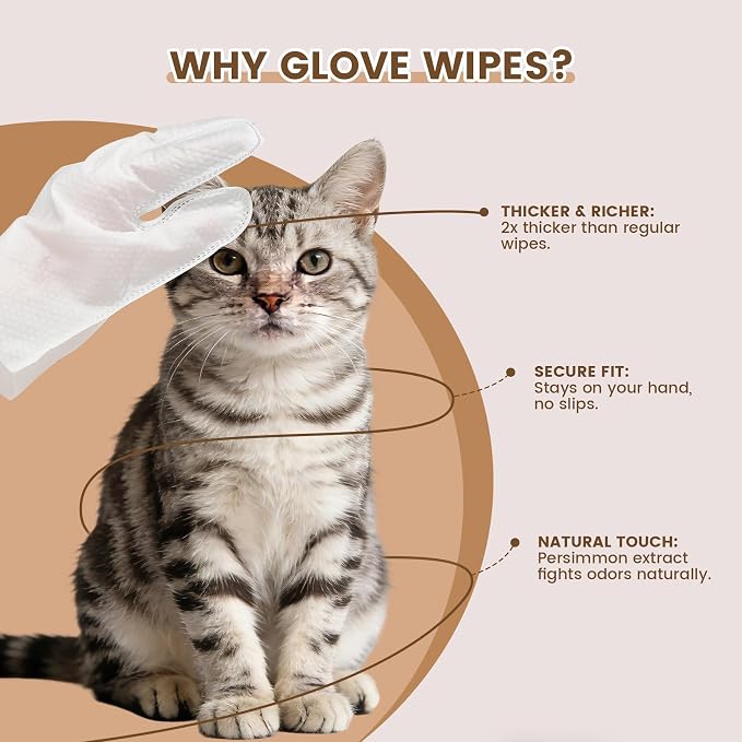 IMMHABI 50 Count Cleaning Deodorizing Pet Glove Wipes for Dogs & Cats, Hypoallergenic Dog Bath Wipes with Natural Deodorizer Persimmon Tannin, Pet Bathing Wipes for Horse Coat Care Coconut Scent