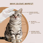 IMMHABI 50 Count Cleaning Deodorizing Pet Glove Wipes for Dogs & Cats, Hypoallergenic Dog Bath Wipes with Natural Deodorizer Persimmon Tannin, Pet Bathing Wipes for Horse Coat Care Coconut Scent